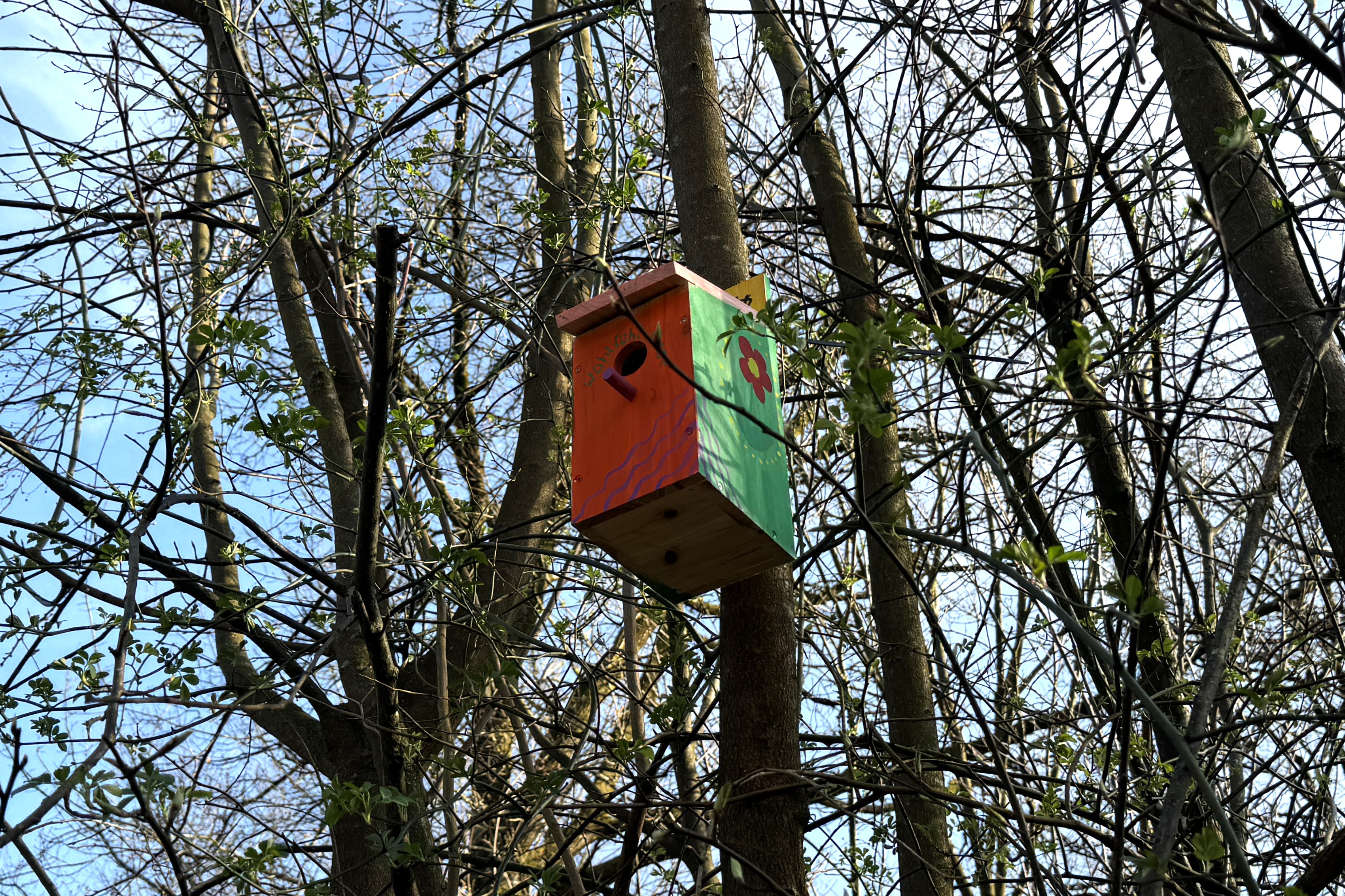 Vogelhaeuser4